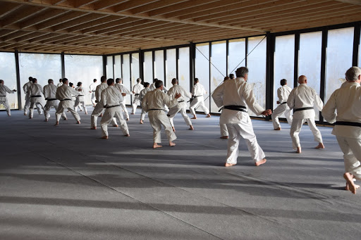 Dojo